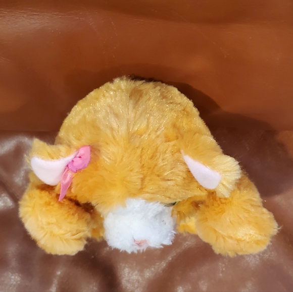 8 inch Fur Real Friends Peek A Boo Orange Cat Interactive Toy Works - Picture 5 of 11